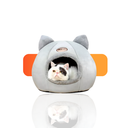 Pet Shop
